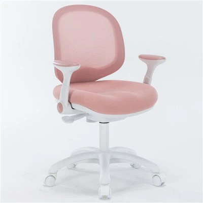 Silla de estudio gris para el dolor de espalda