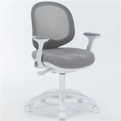 Silla de estudio para la postura
